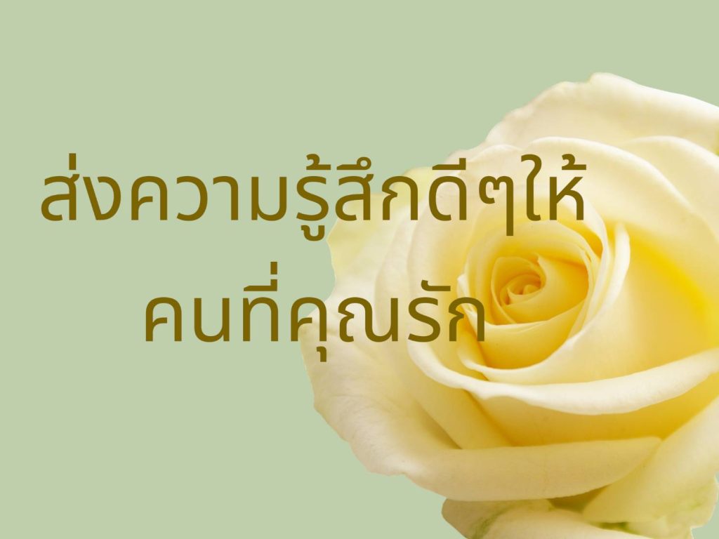 บทความ ดอกไม้ …
